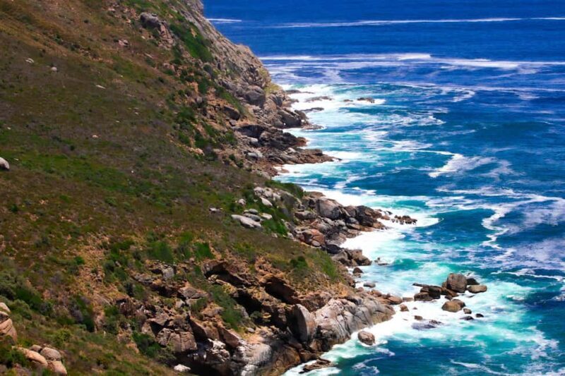 Cape Town's Best: Cape Point & Boulders Beach Group Tour - Detailed Breakdown of the Itinerary