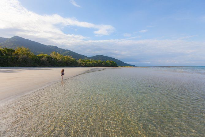 Cape Tribulation & Daintree Wilderness (TCT) - FAQs
