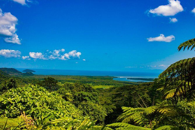 Cape Tribulation Day Tour - A Closer Look: The Itinerary Breakdown