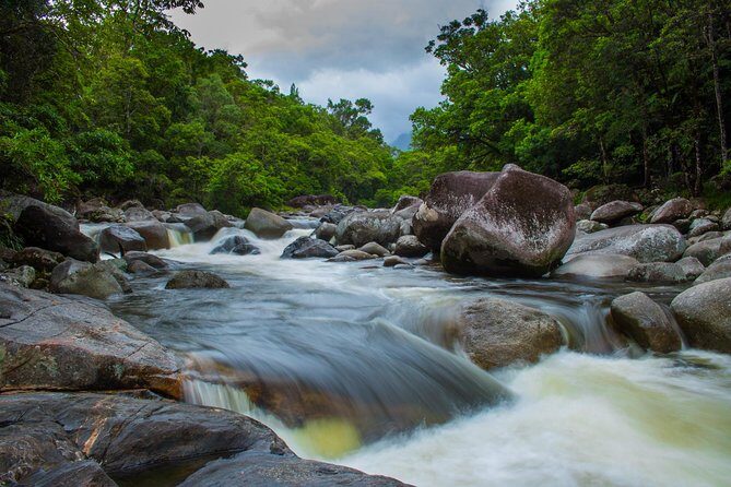 Cape Tribulation Day Tour - What We Loved & What to Consider