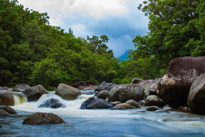 Cape Tribulation Day Tour - Who Is This Tour Best For?