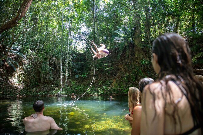 Cape Tribulation Day Tour from Cairns - What to Expect from the Itinerary
