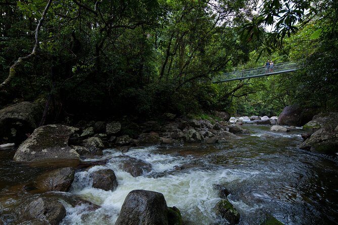 Cape Tribulation, Mossman Gorge and Daintree Rainforest Day Tour - Introduction