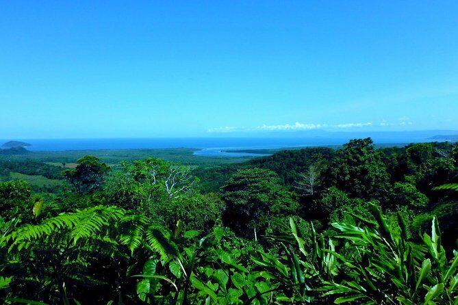 Cape Tribulation, Mossman Gorge and Daintree Rainforest Day Tour - Who Would Love This Tour?