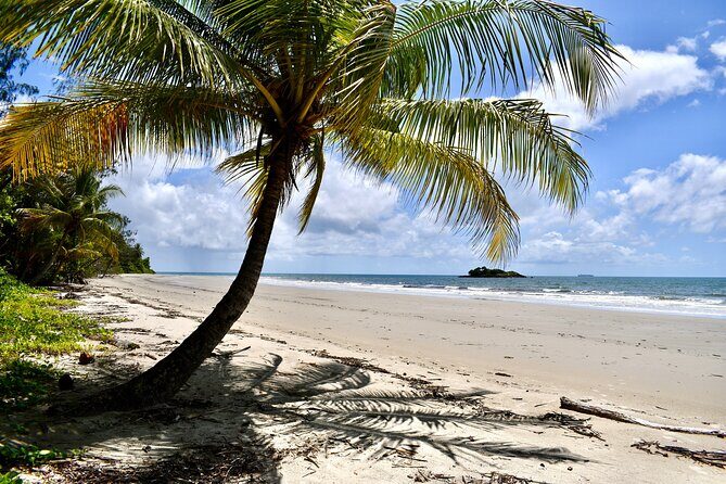 Cape Tribulation, Mossman Gorge, and Daintree Rainforest Day Trip - Final Thoughts: Who Should Consider This Tour?