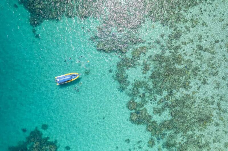 Cape Tribulation Ocean Safari - Great Barrier Reef Adventure - An In-Depth Look at the Tour Experience