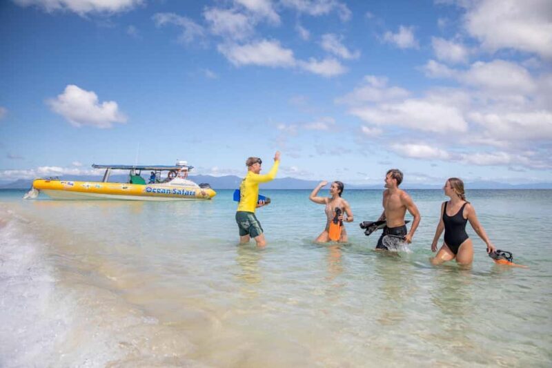 Cape Tribulation Ocean Safari - Great Barrier Reef Adventure - Who Should Consider This Tour