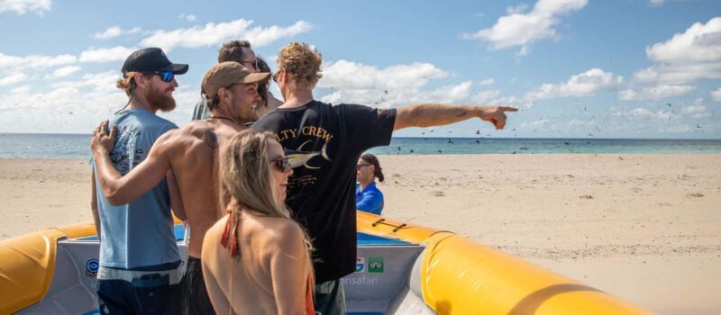 Cape Tribulation Ocean Safari - Great Barrier Reef Adventure - Final Thoughts