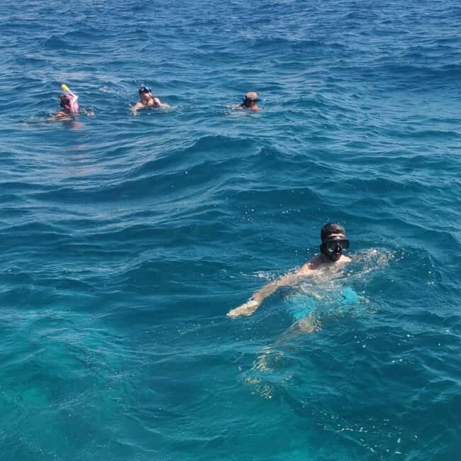 Cape Verde: Private Snorkeling Tour - Exploring the Cape Verde: Private Snorkeling Tour — A Clear Water Adventure on Boa Vista