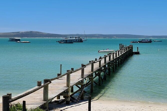 Cape West Coast Flower Tour - FAQ: Common Questions About the Cape West Coast Flower Tour