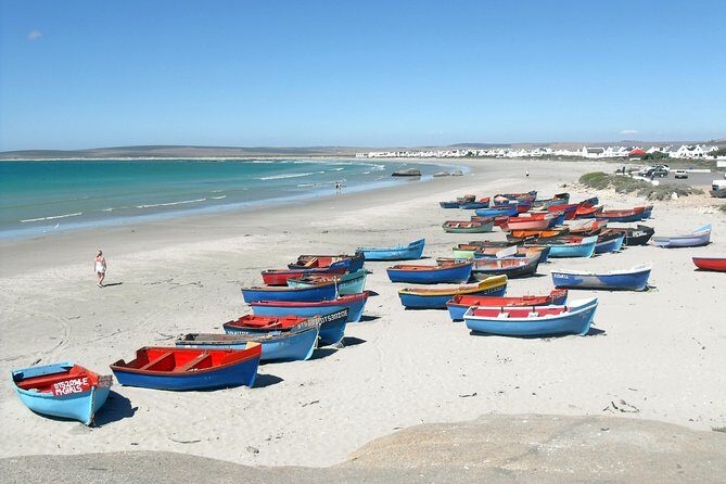 Cape West Coast Full Day Private Day Tour - Starting the Day: Comfort and Convenience
