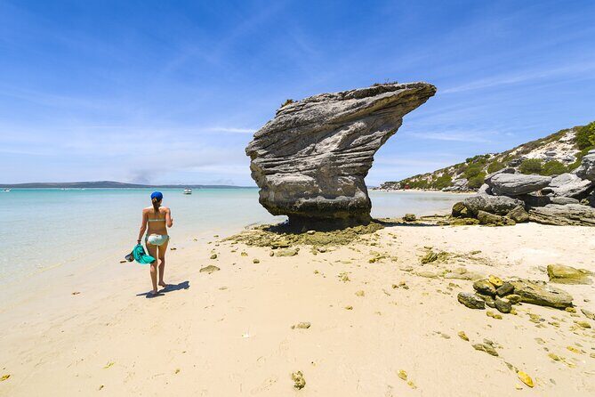 Cape West Coast Full Day Private Day Tour - Seasonal Whale Watching and Natural Beauty