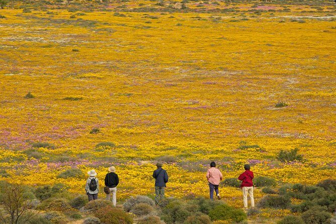 Cape West Coast Full Day Private Day Tour - Langebaan: The Jewel of the Coast
