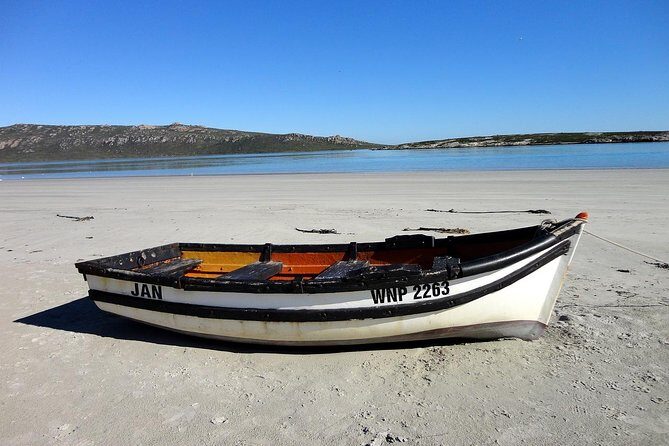 Cape West Coast Full Day Private Day Tour - Fossil Park and Agricultural Regions