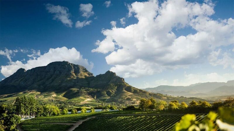 Cape Wineland 3 Award Winning Vineyards - Key Points