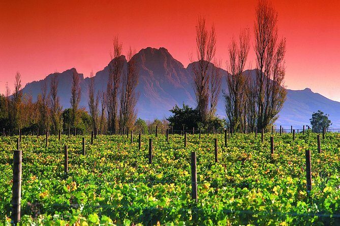 Cape Winelands and the Garden Route - 5 Days - The Journey Through the Cape Winelands