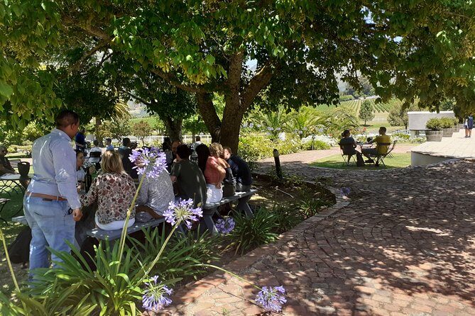 Cape Winelands and Wine Tasting Full Day Tour - The Itinerary in Detail