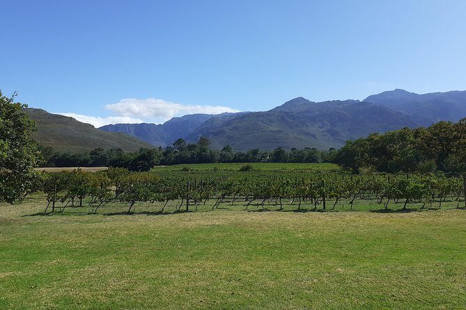 Cape Winelands and Wine Tasting Full Day Tour - Potential Drawbacks and Considerations