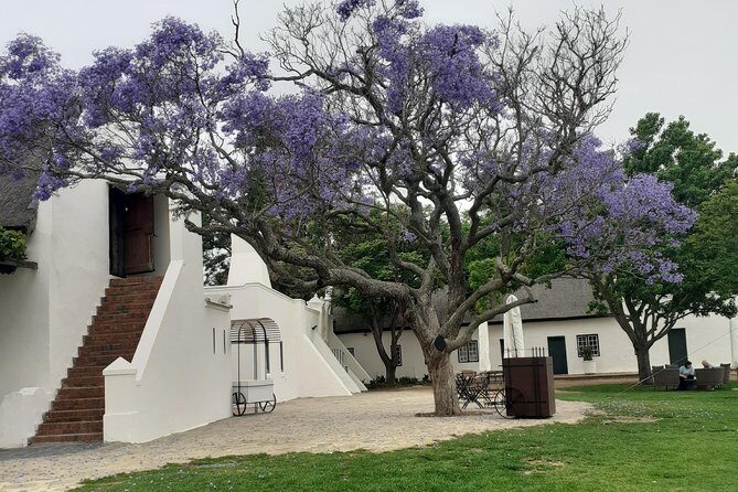 Cape Winelands and Wine Tasting Full Day Tour - Final Thoughts