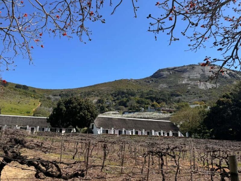 Cape Winelands: Customizable Private Wine Tasting Tour - Key Points