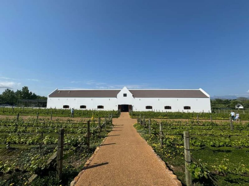 Cape Winelands: Customizable Private Wine Tasting Tour - Final Thoughts