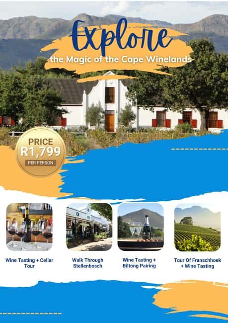 Cape Winelands: Private Full Day Wine Tour - Exploring the Cape Winelands: Private Full Day Wine Tour Review