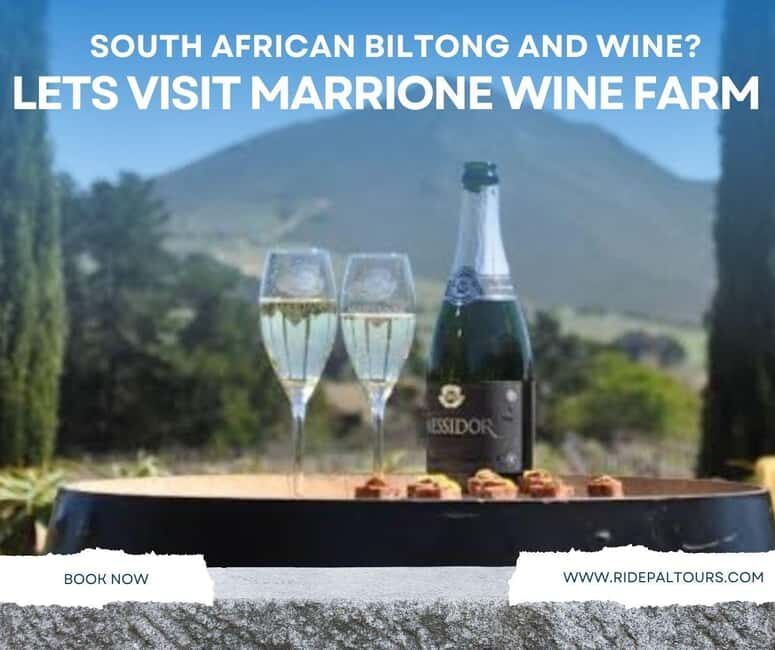 Cape Winelands: Private Full Day Wine Tour - Key Points