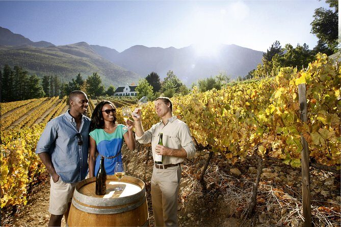 Cape Winelands shared day tour from Cape Town to Stellenbosch and Franschhoek - Who Is This Tour Best For?