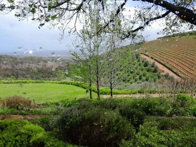 Cape Winelands: Stellenbosch, Franschhoek and Paarl - An Overview of the Cape Winelands Tour
