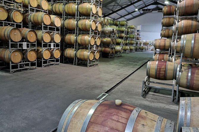 Cape Winelands Stellenbosch Franschhoek Paarl Tour from Cape Town - An In-Depth Look at the Experience