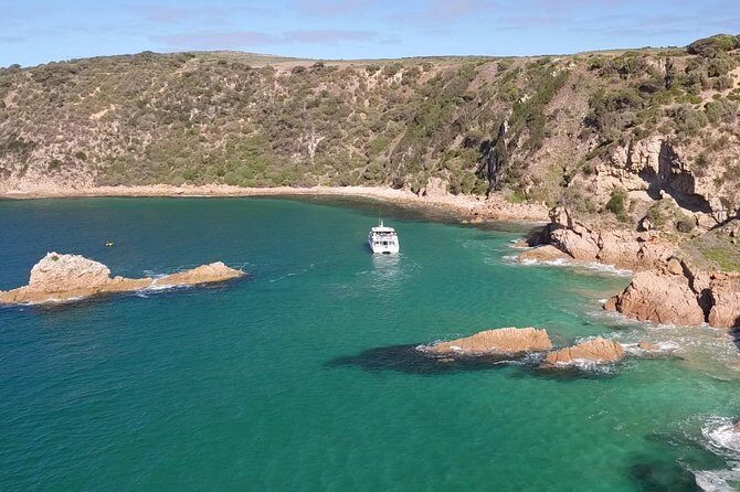 Cape Woolamai Sightseeing Cruise from San Remo - Key Points