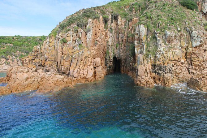 Cape Woolamai Sightseeing Cruise from San Remo - The Authentic Experience and Practical Details