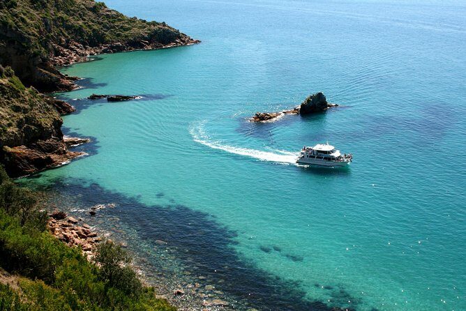 Cape Woolamai Sightseeing Cruise from San Remo - Concluding Thoughts: Who Will Love This Tour?