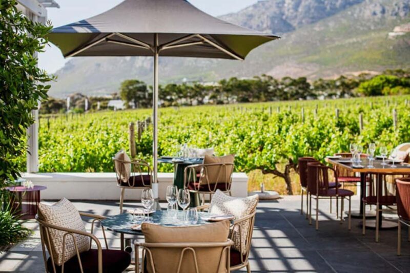 Capetown Private Wine Tour: Manor tour, cellar tour included - What to Expect from the Entire Experience