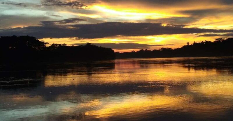 capibara-and-caiman-search-on-the-tambopata-river