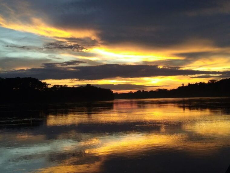 capibara-and-caiman-search-on-the-tambopata-river