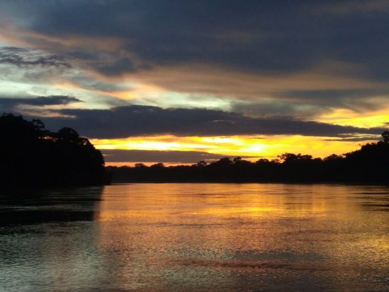 capibara-and-caiman-search-on-the-tambopata-river