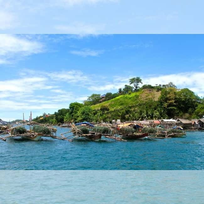 Capiz: Seafood Fiesta Culinary Tour - Exploring the Capiz: Seafood Fiesta Culinary Tour