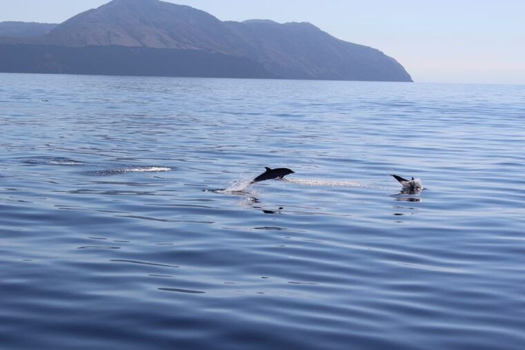 capo-dorlando-salina-panarea-stromboli-tour-with-boat