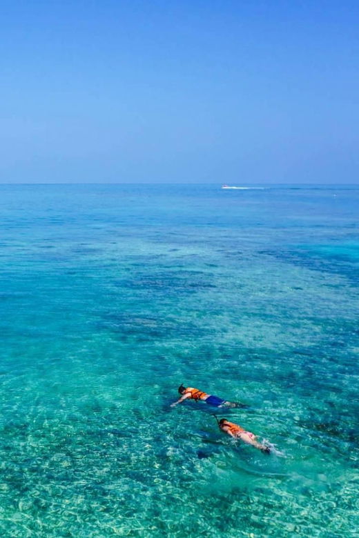 capo-rizzuto-explore-seabed-with-an-underwater-vision-boat