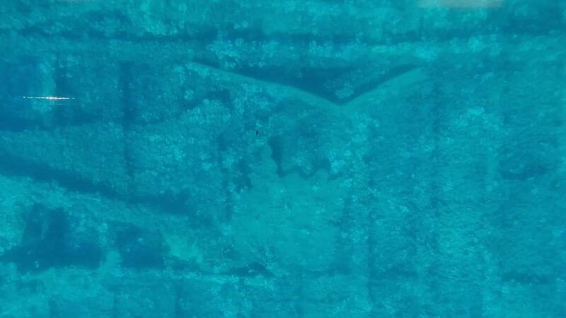 capo-rizzuto-explore-seabed-with-an-underwater-vision-boat