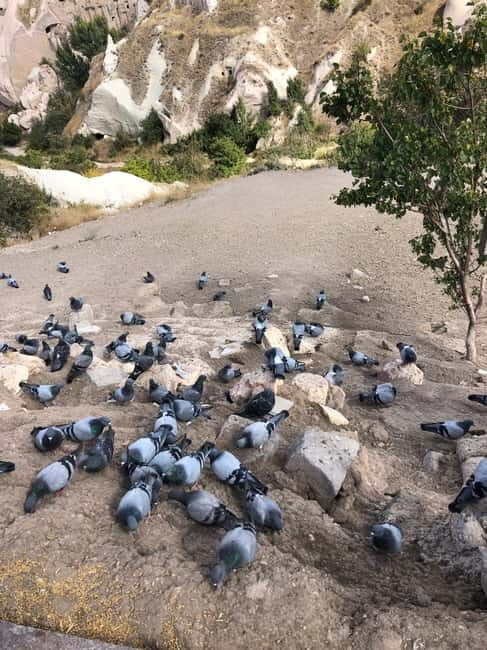 Cappadocia 1 or 2 Day Private Tour - FAQ