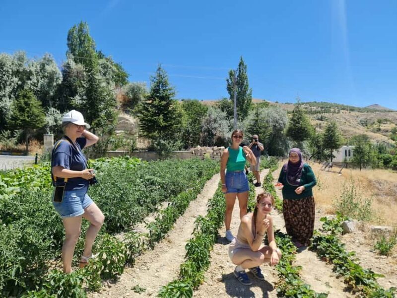 Cappadocia: Beekeeping Experience with Honey Tasting - Discover the Sweet Side of Cappadocia: Beekeeping Experience with Honey Tasting