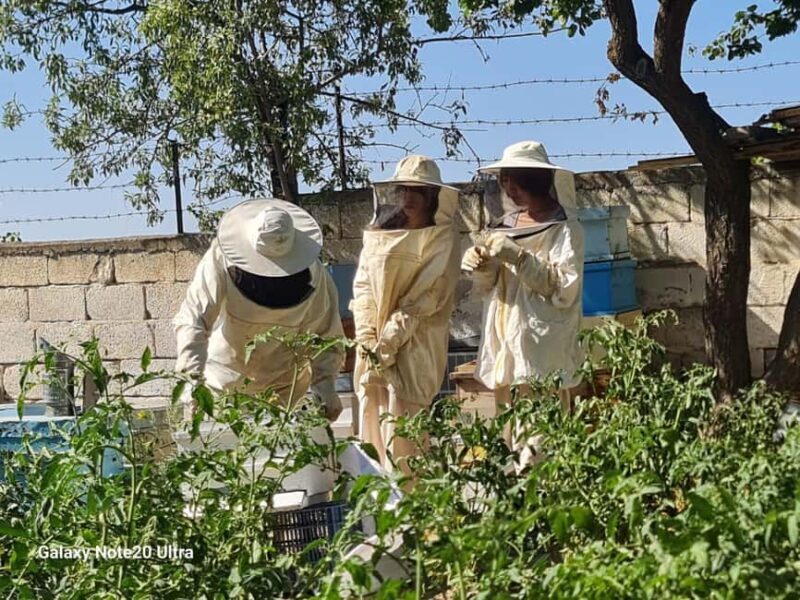 Cappadocia: Beekeeping Experience with Honey Tasting - Frequently Asked Questions