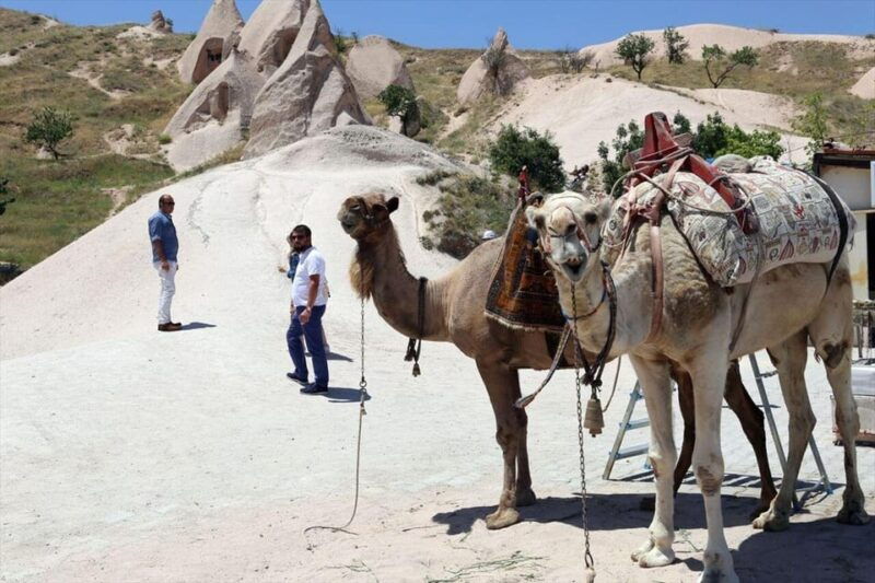 cappadocia-camel-ride-among-the-fairy-chimneys