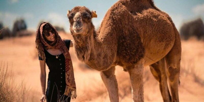 cappadocia-camel-ride-among-the-fairy-chimneys