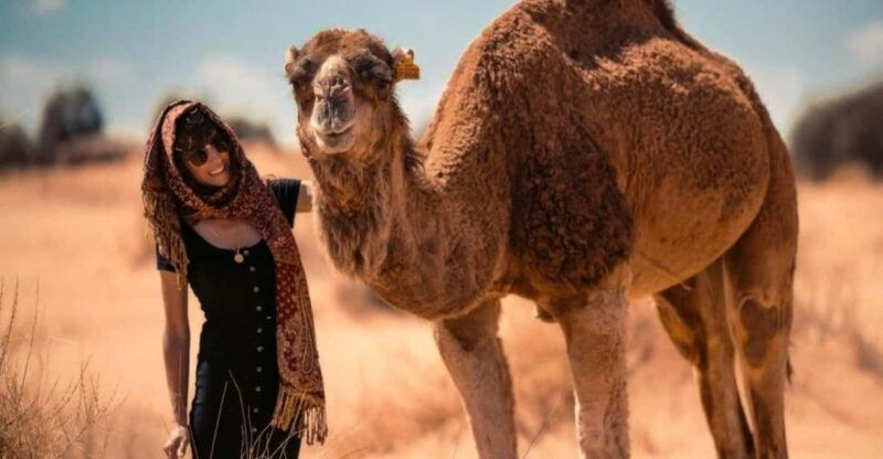 cappadocia-camel-safari-with-transfer
