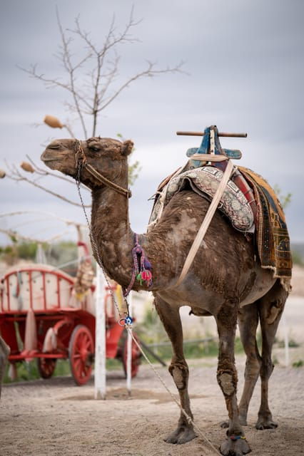 cappadocia-excursion-full-day-south-tour-with-expert-guide