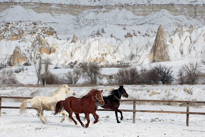 cappadocia-fairy-chimneys-horseback-riding-adventure