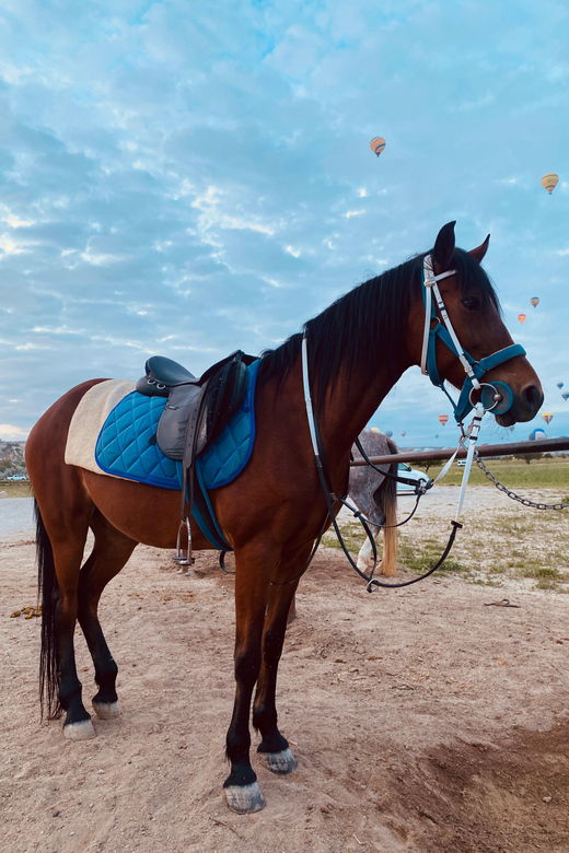 cappadocia-fascinating-horse-tour-in-goreme-valleys